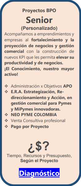 Detalle Proyectos Senior Detalle Proyectos Senior